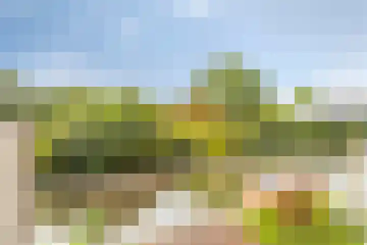 Osdorper Ban 731 Amsterdam thumbnail 9
