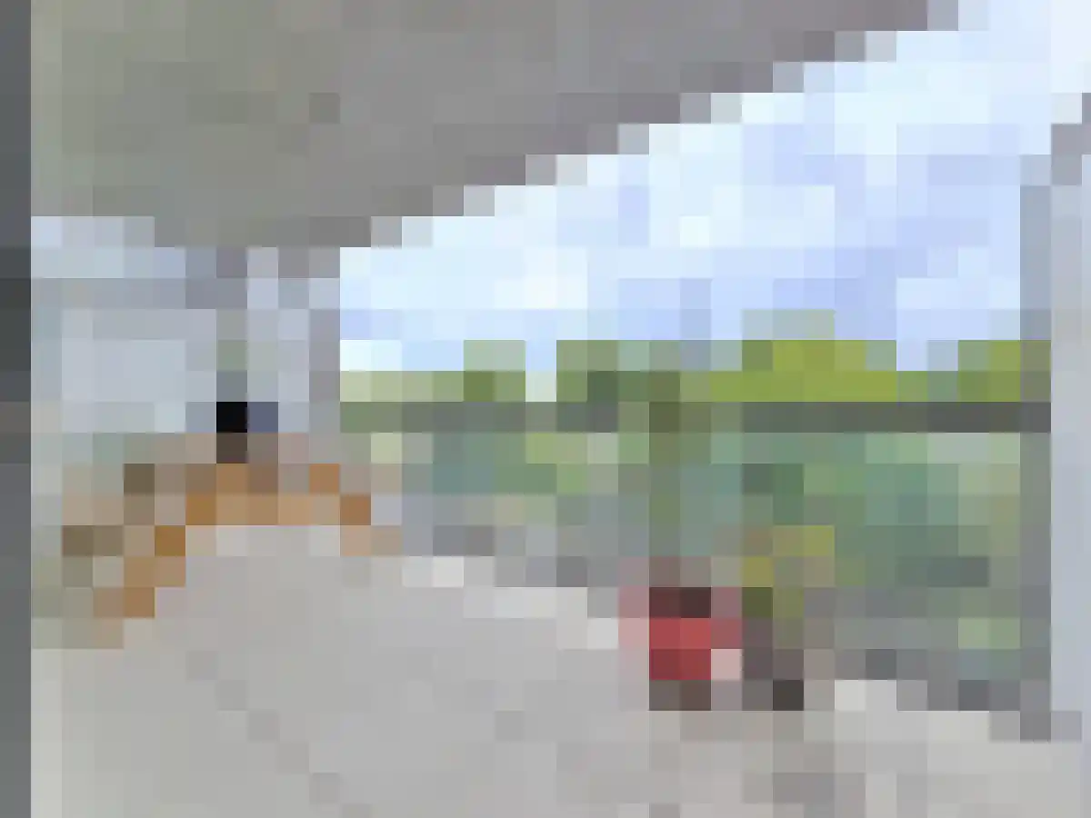 Osdorper Ban 741 Amsterdam thumbnail 4