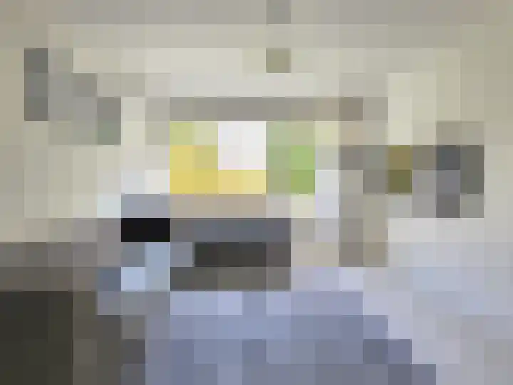 Osdorper Ban 75 Amsterdam thumbnail 4