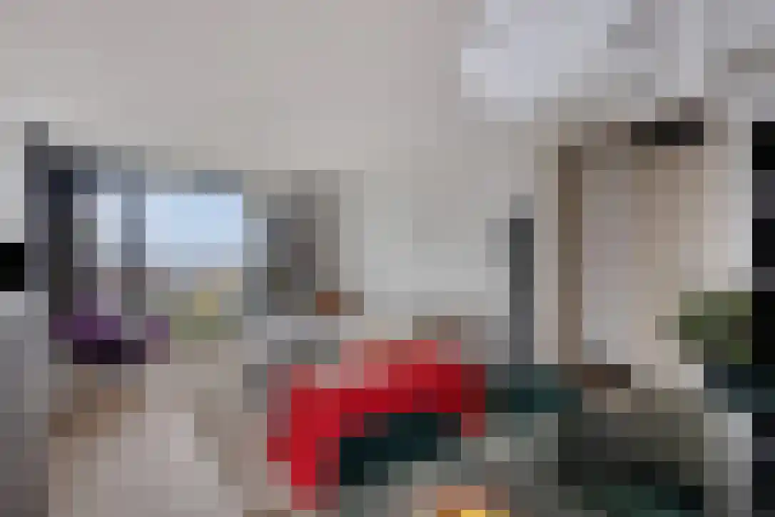 Osdorper Ban 772 Amsterdam thumbnail 8