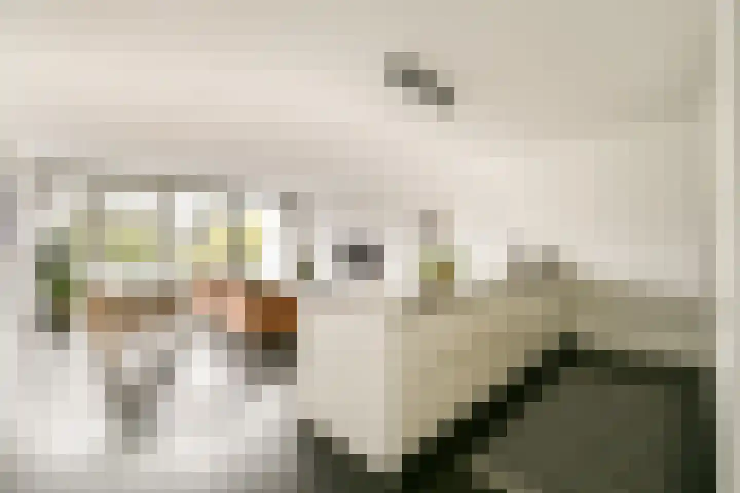 Osdorper Ban 779 Amsterdam thumbnail 5
