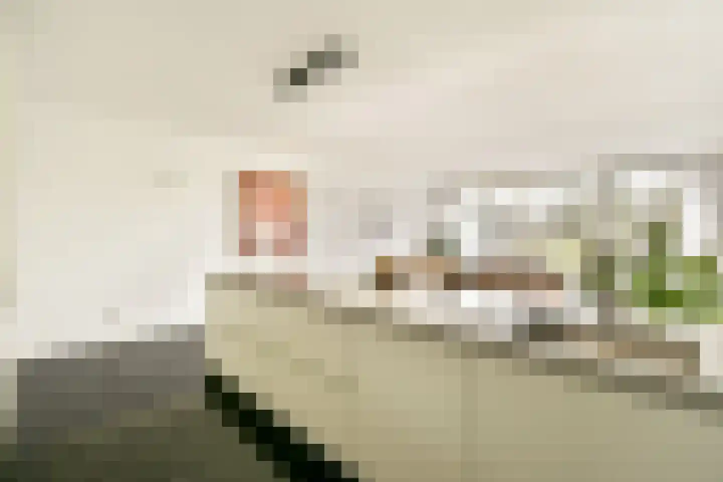 Osdorper Ban 779 Amsterdam thumbnail 6