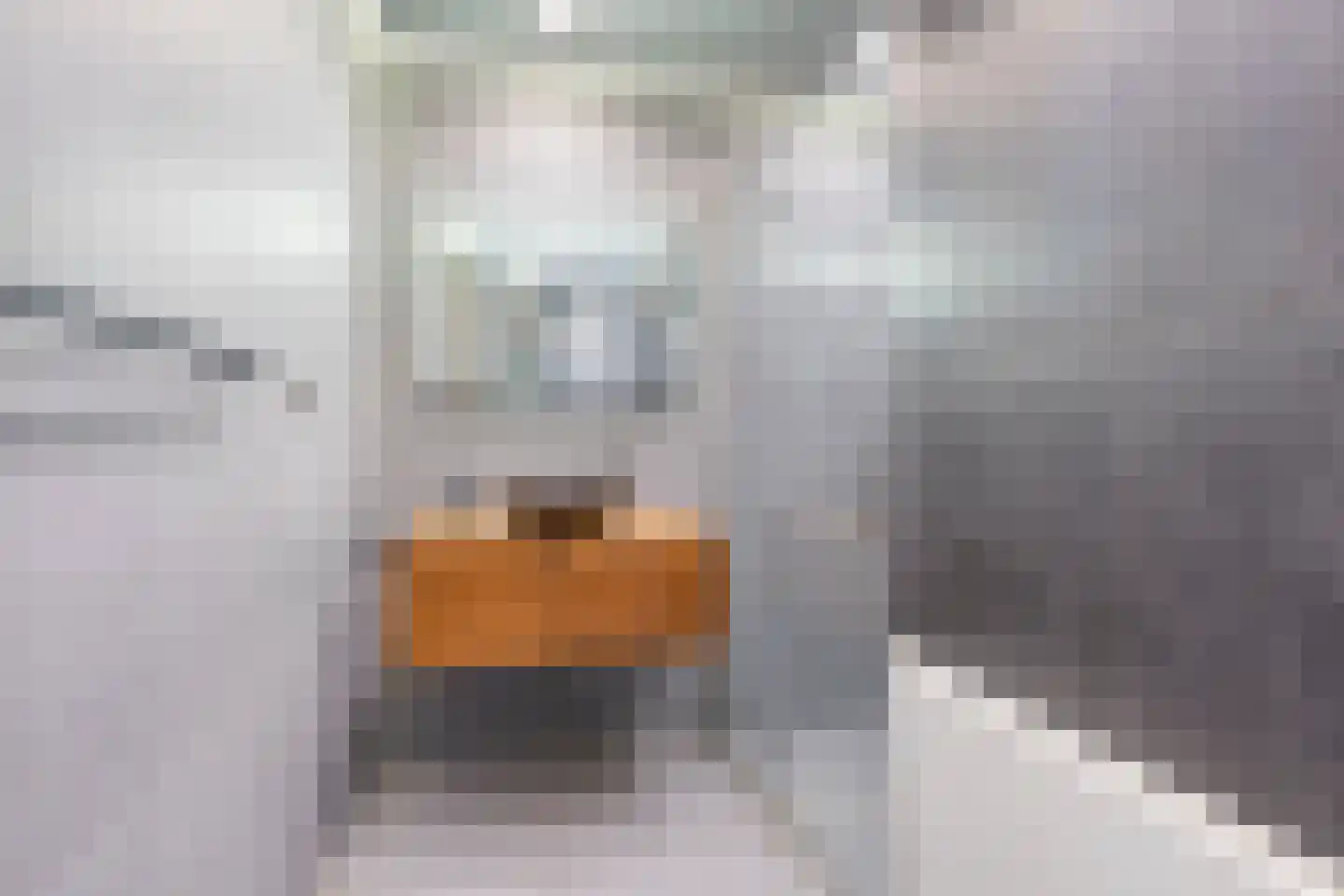 Osdorper Ban 786 Amsterdam thumbnail 16