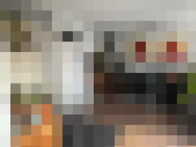 Osdorper Ban 786 Amsterdam thumbnail 4