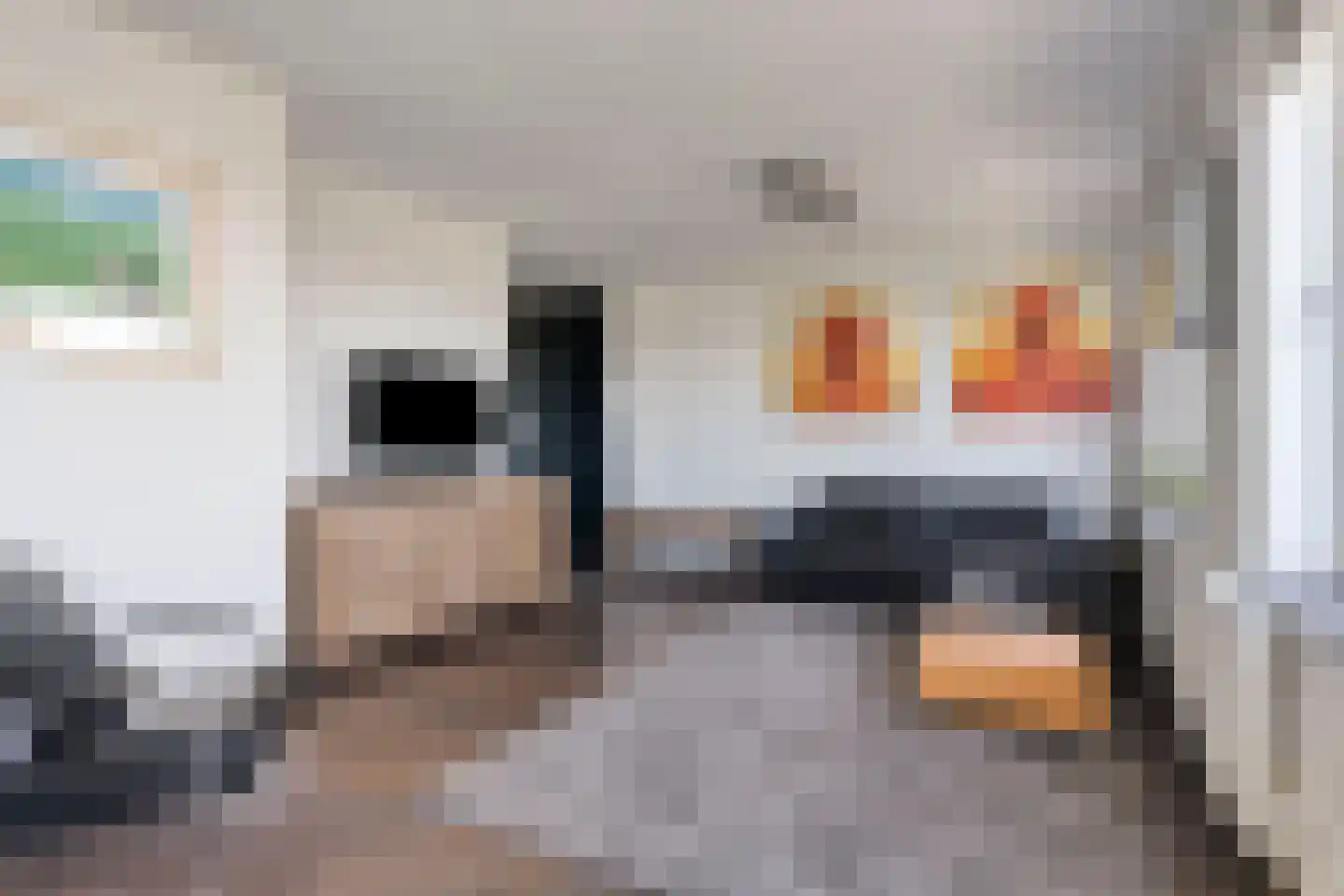 Osdorper Ban 786 Amsterdam thumbnail 5