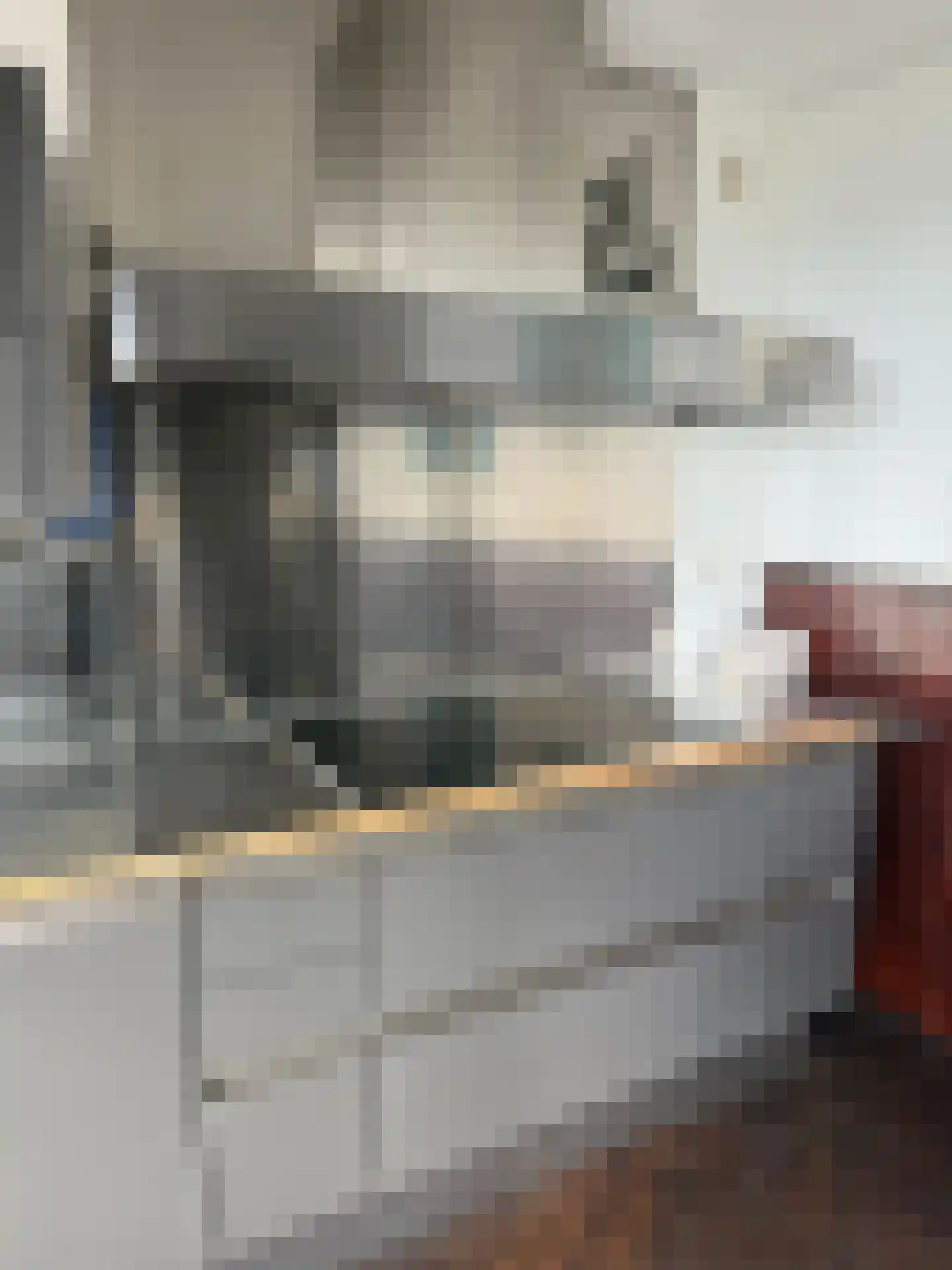 Osdorper Ban 786 Amsterdam thumbnail 7