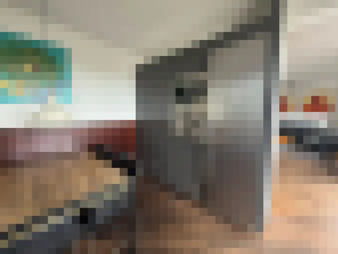 Osdorper Ban 786 Amsterdam thumbnail 8