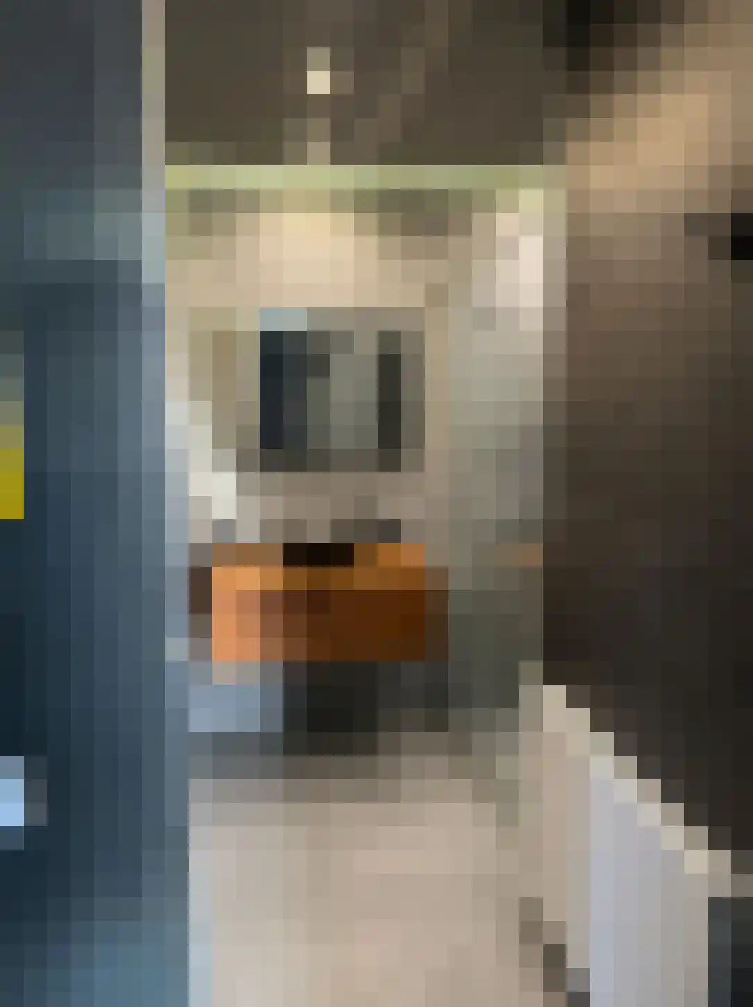 Osdorper Ban 786 Amsterdam thumbnail 9