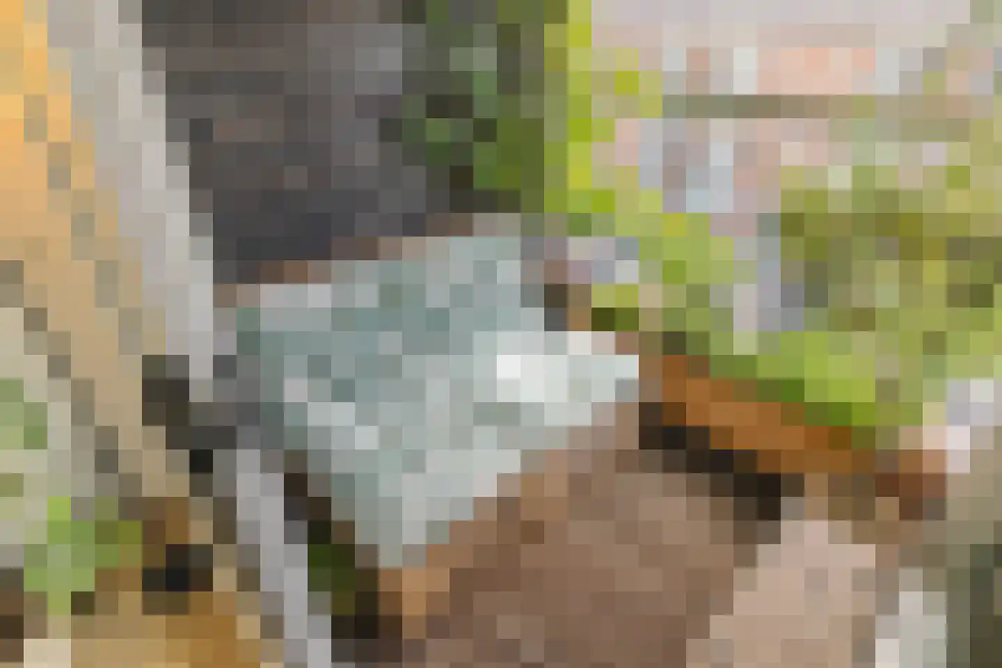 Osdorper Ban 90 A 3 Amsterdam thumbnail 13