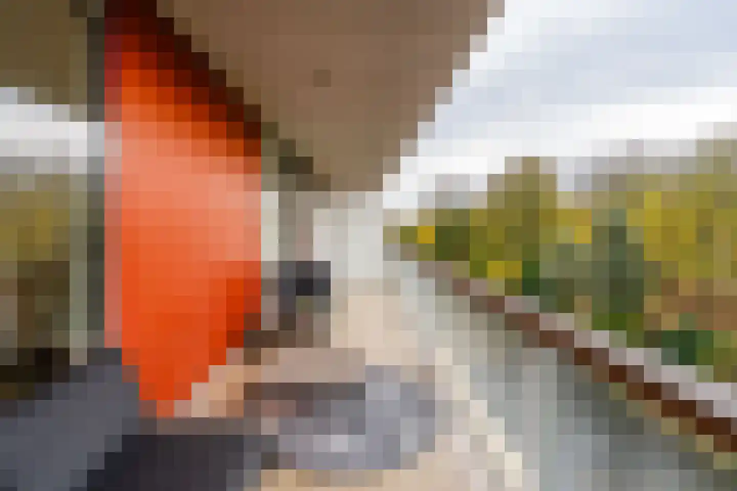Osdorper Ban 991 Amsterdam thumbnail 27