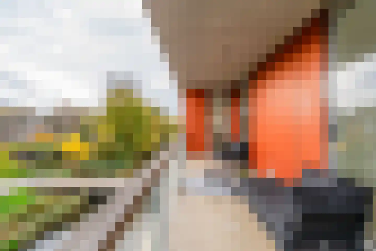 Osdorper Ban 991 Amsterdam thumbnail 4