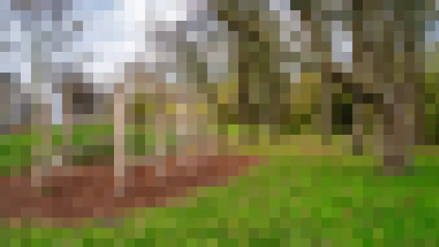 Osdorper Ban 991 Amsterdam thumbnail 41