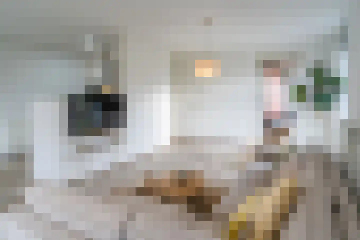 Osdorper Ban 991 Amsterdam thumbnail 7
