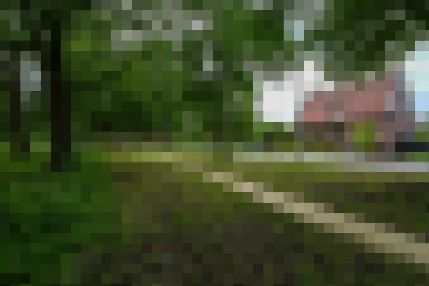 Osdorperweg 179 Amsterdam thumbnail 37