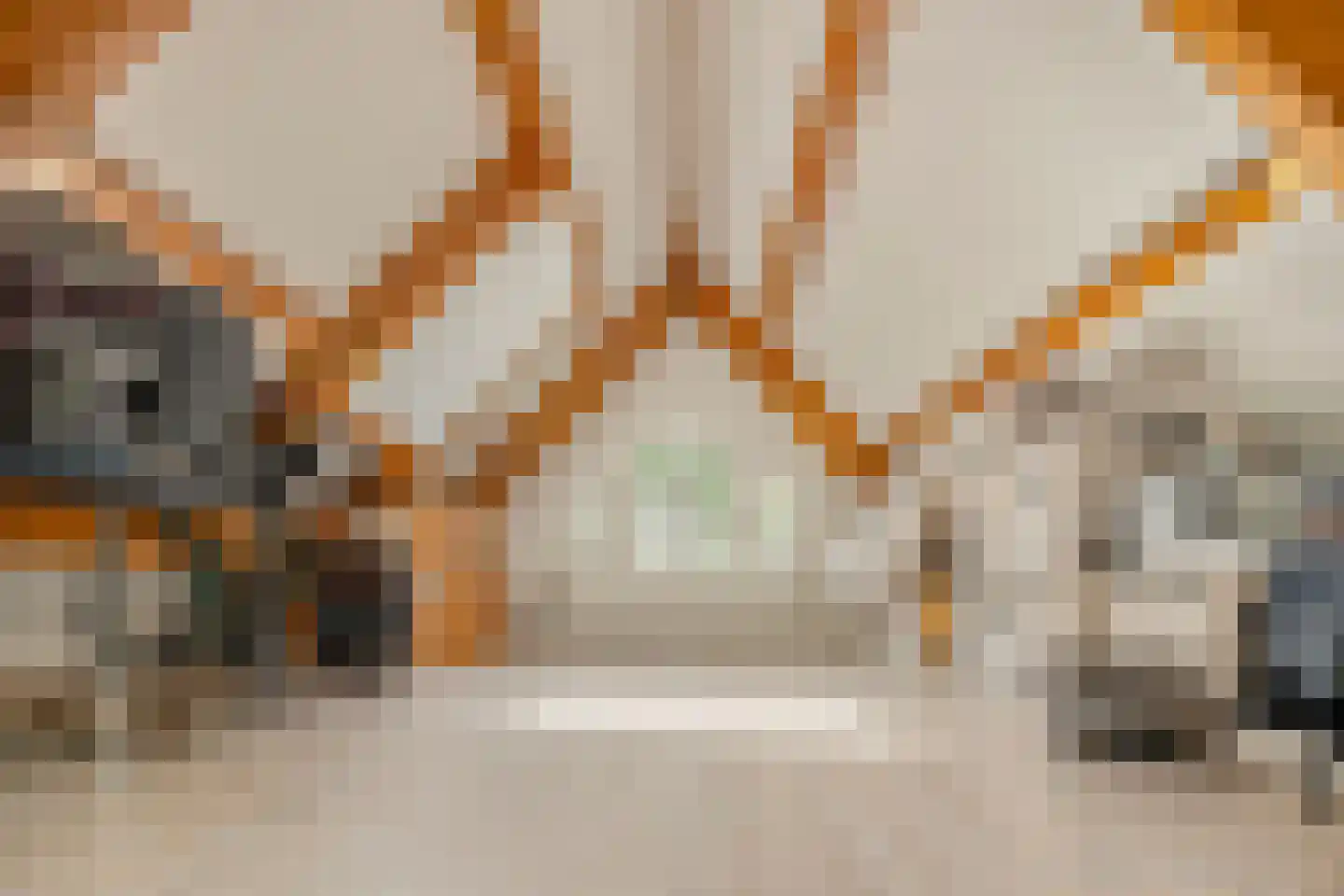 Osdorperweg 24 Amsterdam thumbnail 16