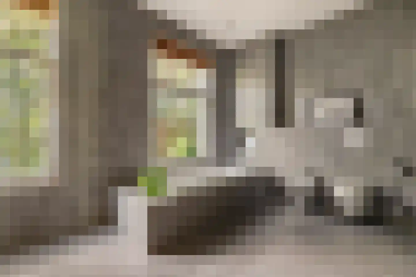 Osdorperweg 24 Amsterdam thumbnail 25