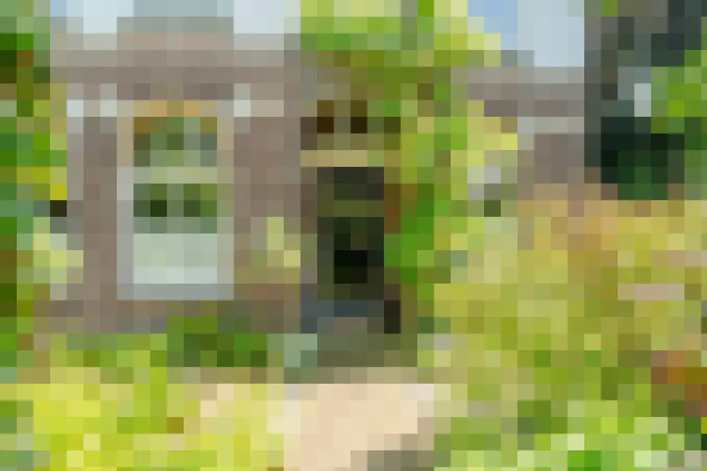 Osdorperweg 24 Amsterdam thumbnail 34