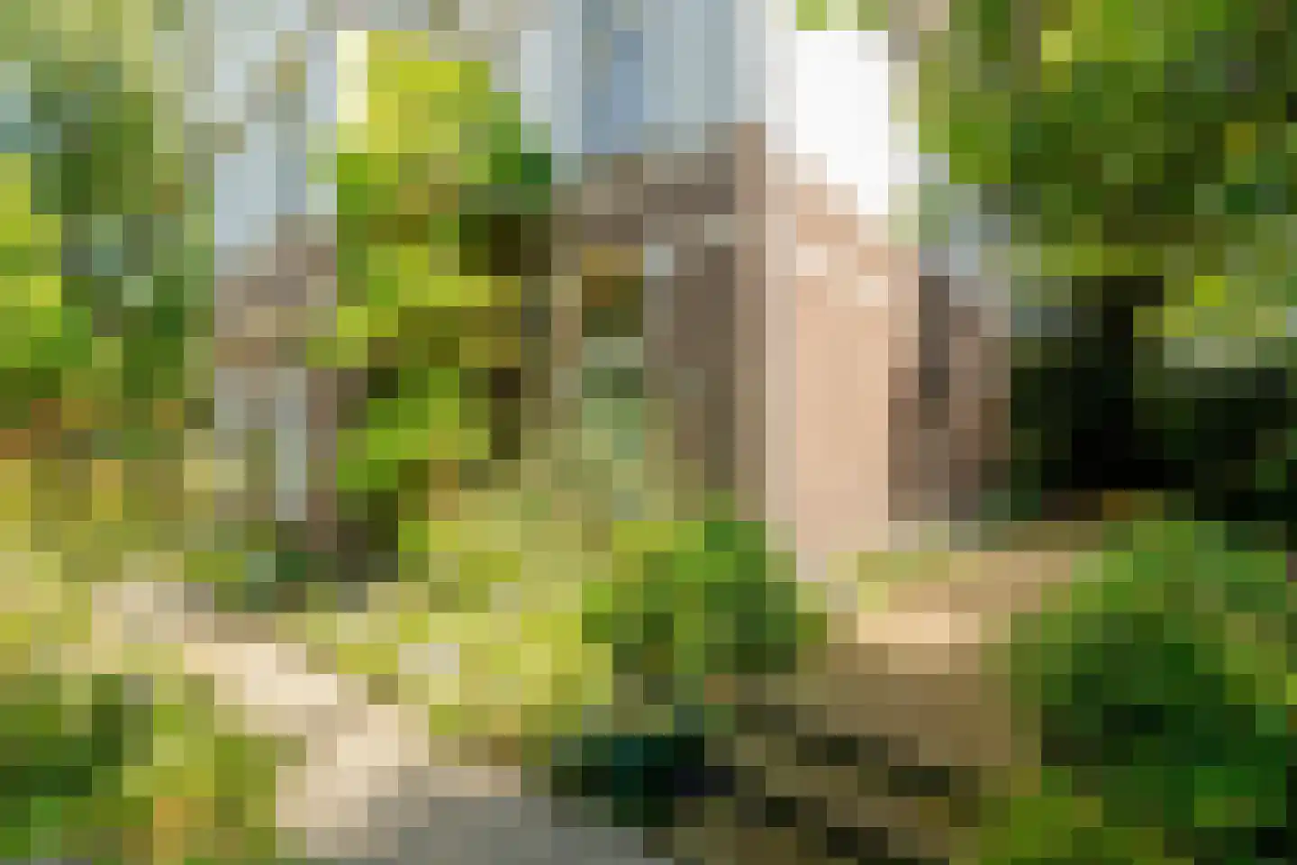 Osdorperweg 24 Amsterdam thumbnail 35