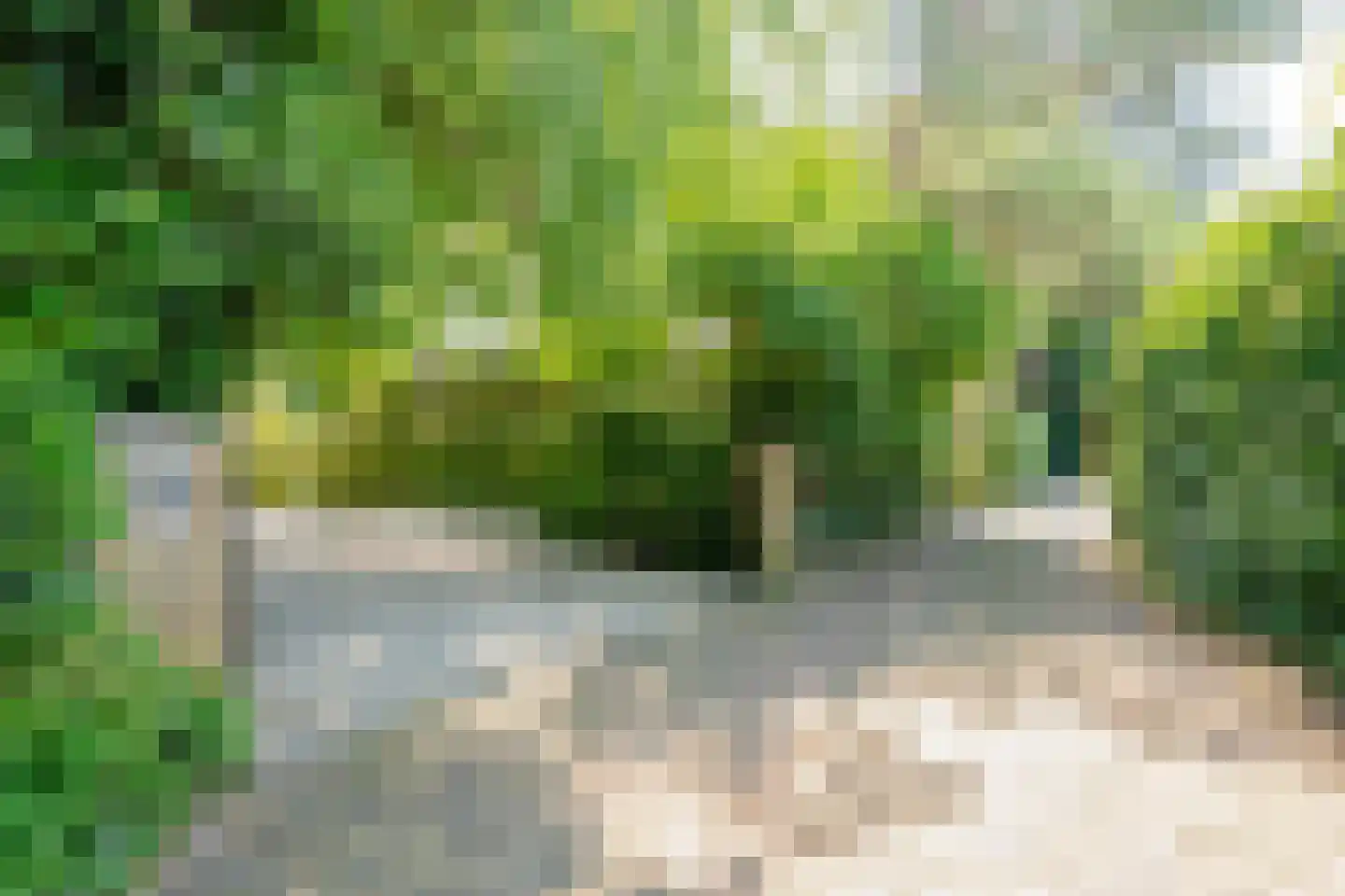 Osdorperweg 24 Amsterdam thumbnail 37