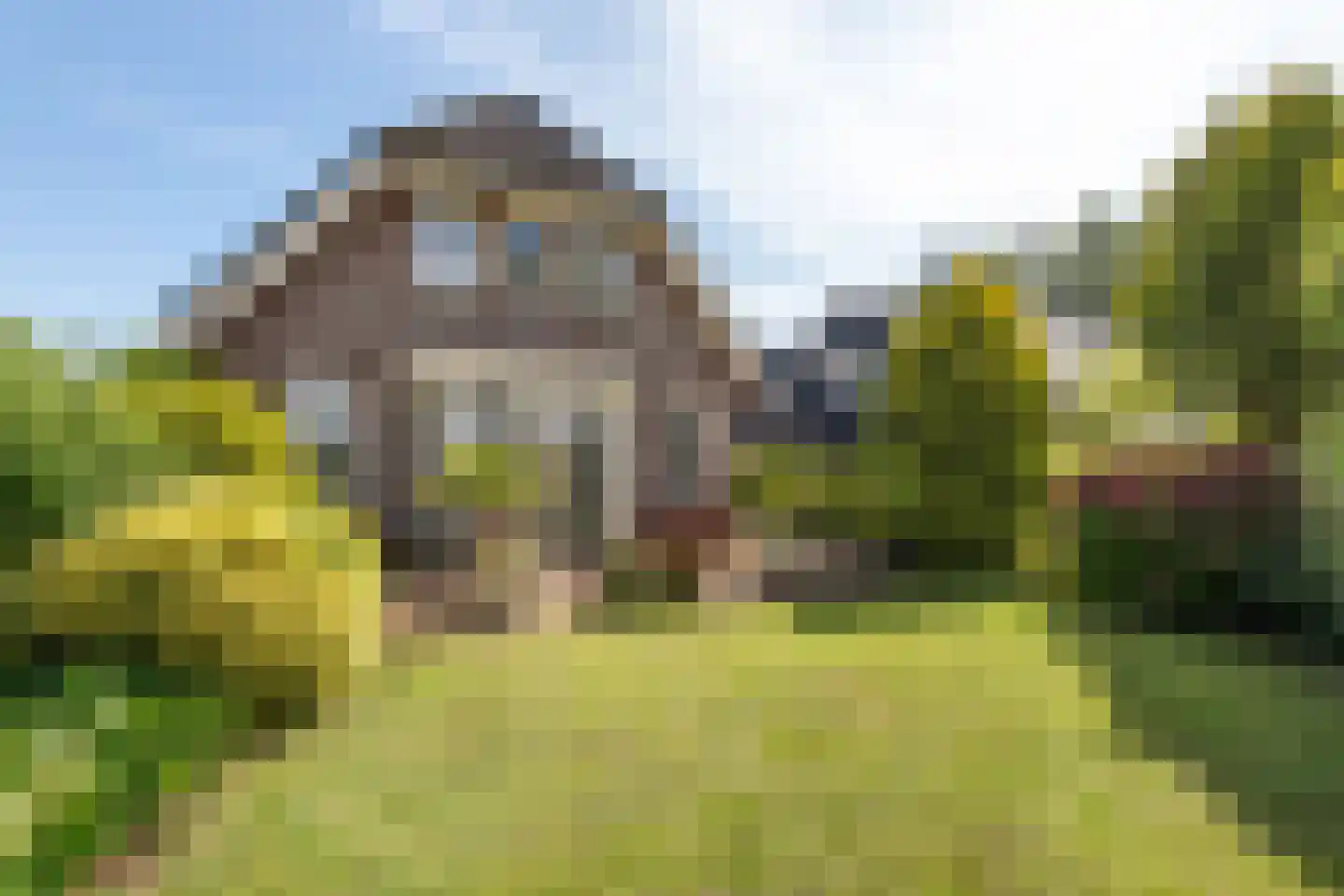 Osdorperweg 856 Amsterdam thumbnail 32