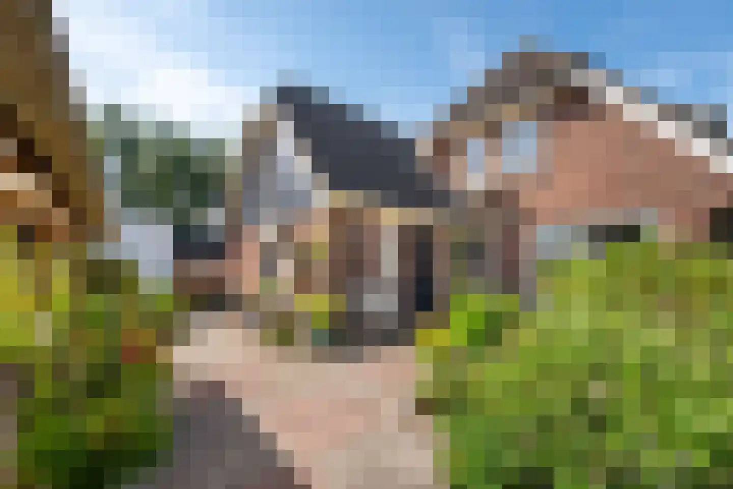 Osdorperweg 856 Amsterdam thumbnail 50