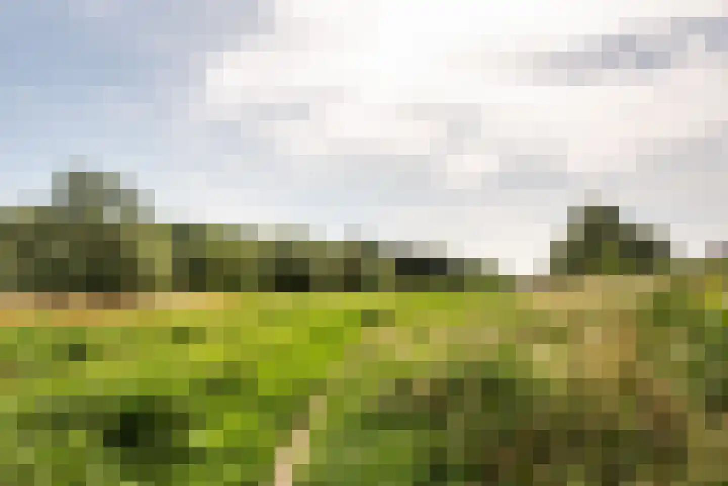 Osdorperweg 856 Amsterdam thumbnail 67