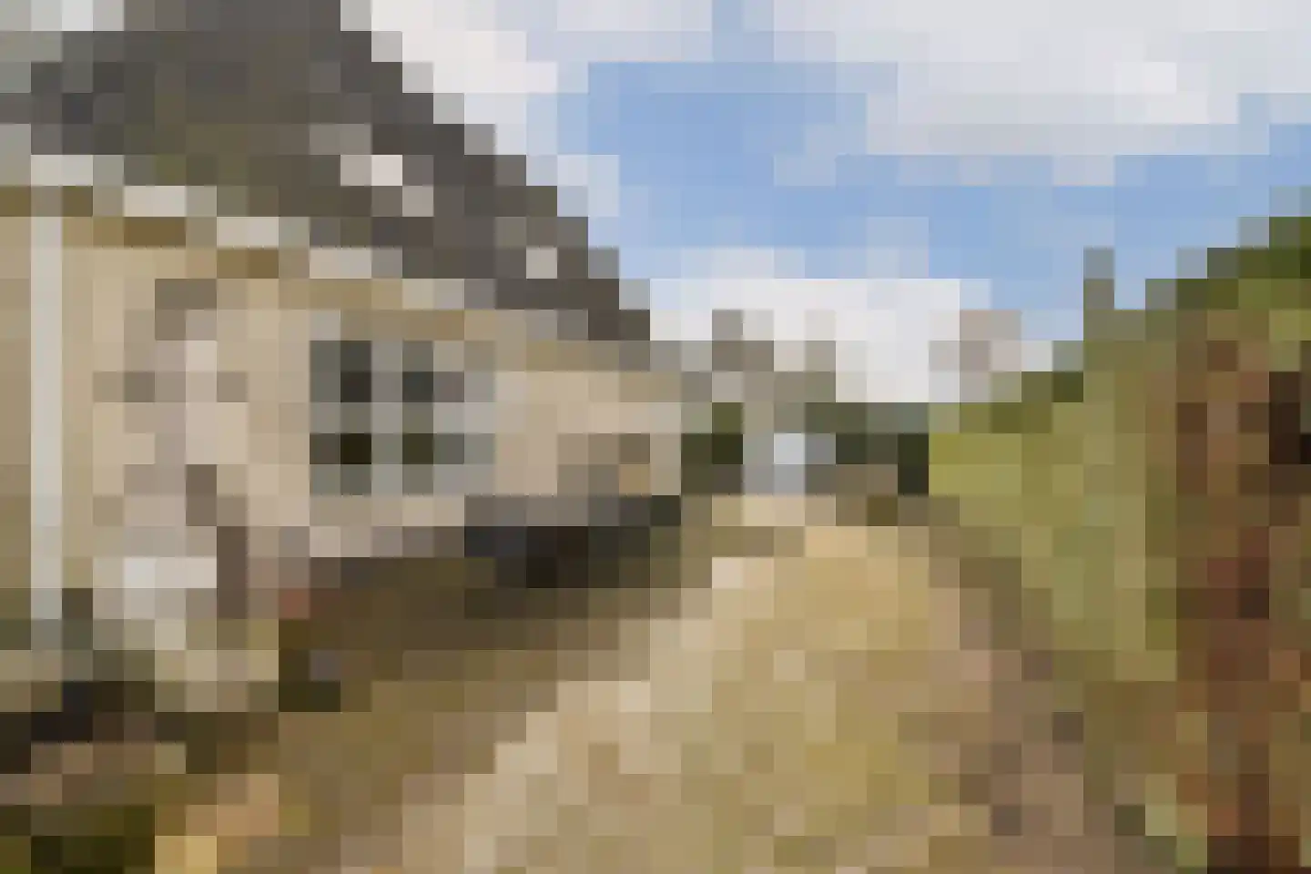 Osdorperweg 888 Amsterdam thumbnail 15