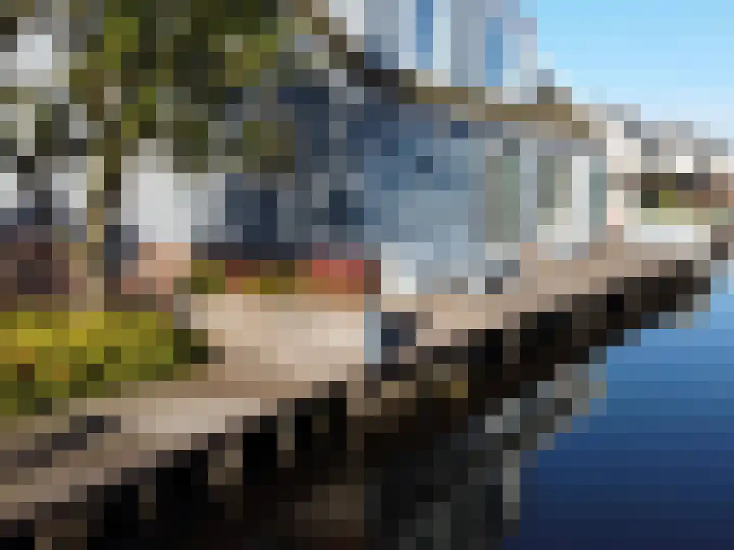 Osdorperweg 910 A Amsterdam thumbnail 43