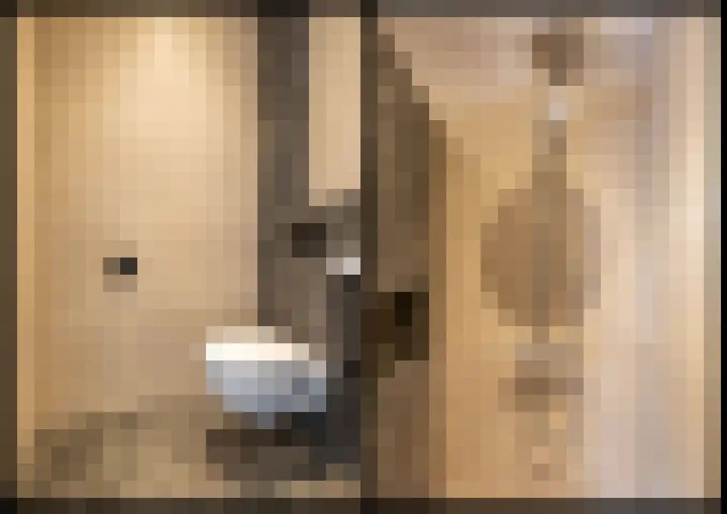 Oshaarseweg 23 a Echten thumbnail 25