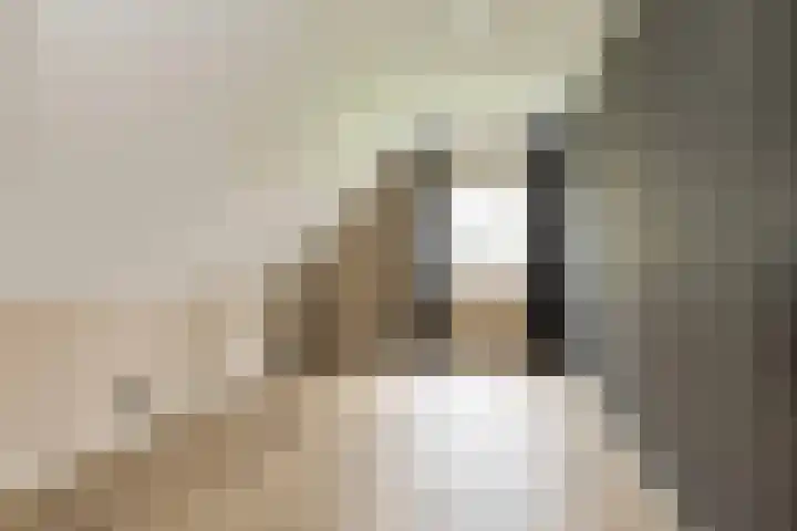 Oshaarseweg 23 a Echten thumbnail 26