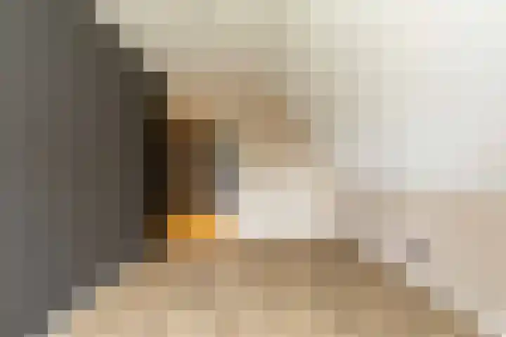 Oshaarseweg 23 a Echten thumbnail 27