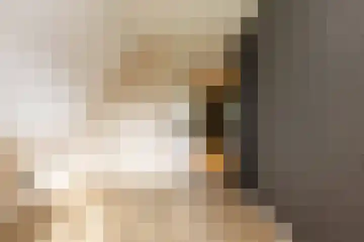 Oshaarseweg 23 a Echten thumbnail 30