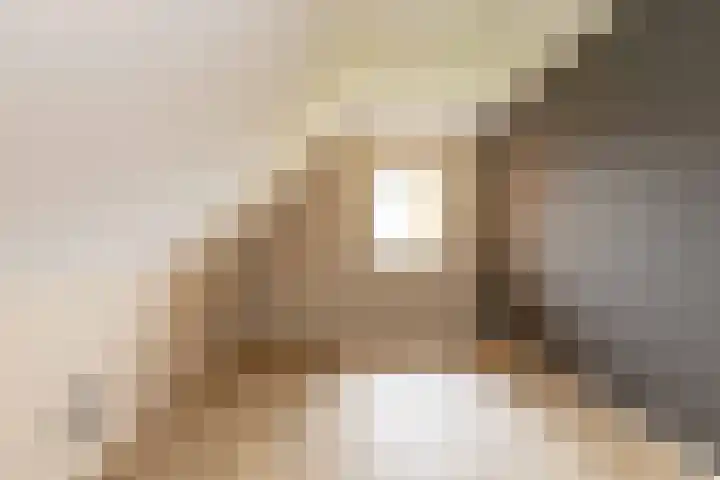 Oshaarseweg 23 a Echten thumbnail 31