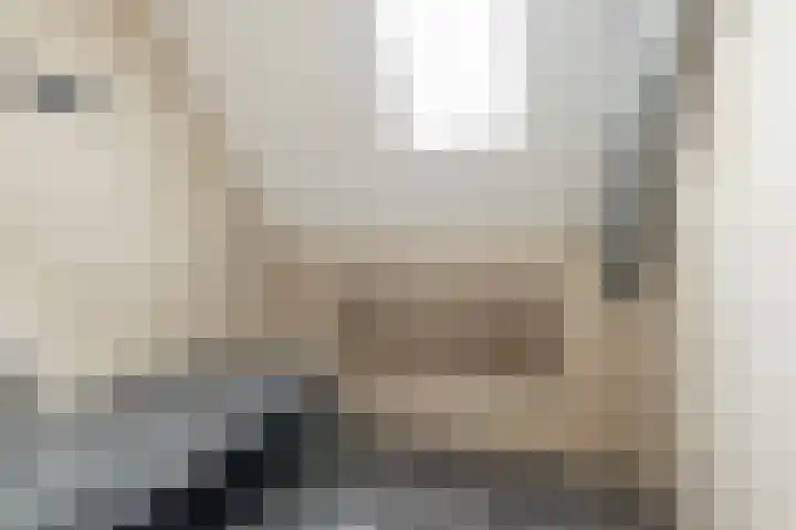 Oshaarseweg 23 a Echten thumbnail 33