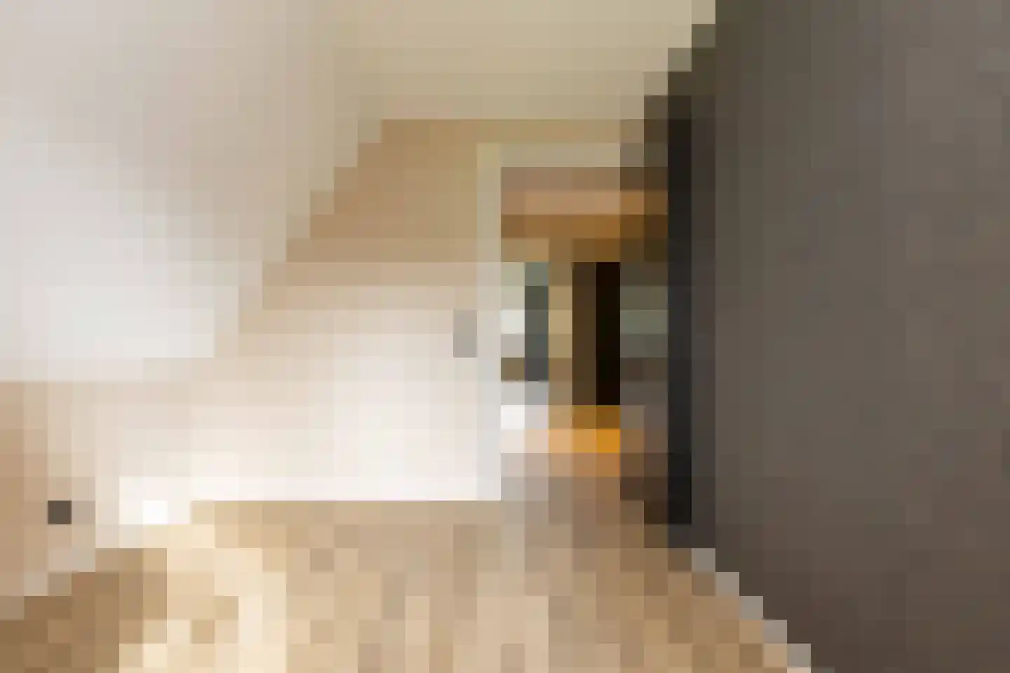 Oshaarseweg 23 a Echten thumbnail 35