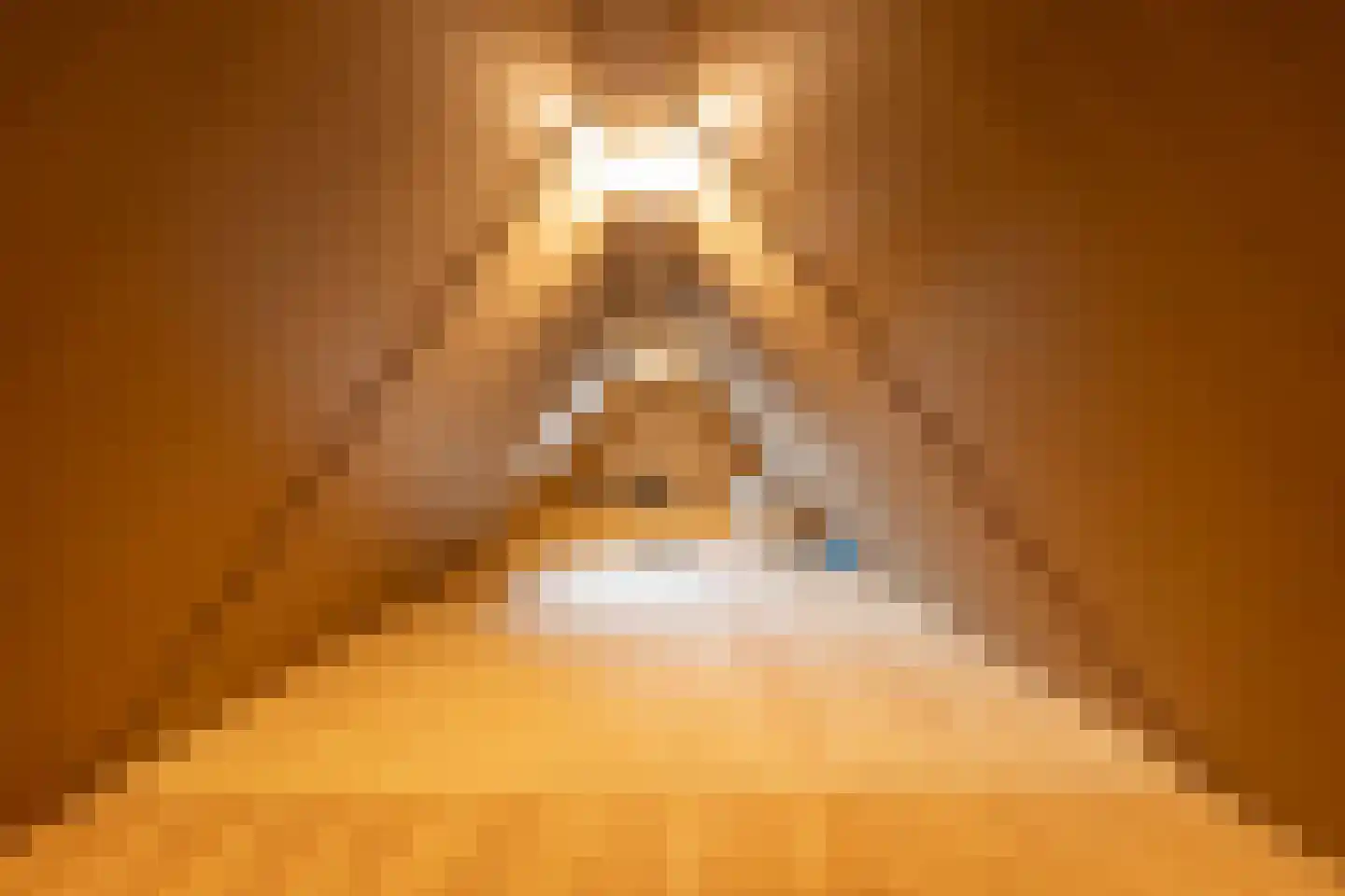 Oshaarseweg 23 a Echten thumbnail 44