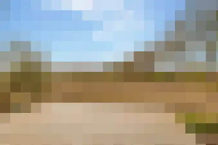 Oshaarseweg 23 a Echten thumbnail 49