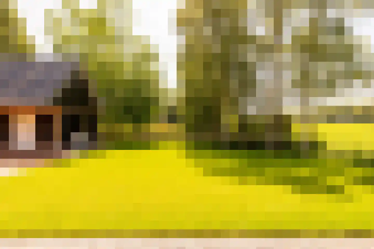 Oshaarseweg 23 a Echten thumbnail 5
