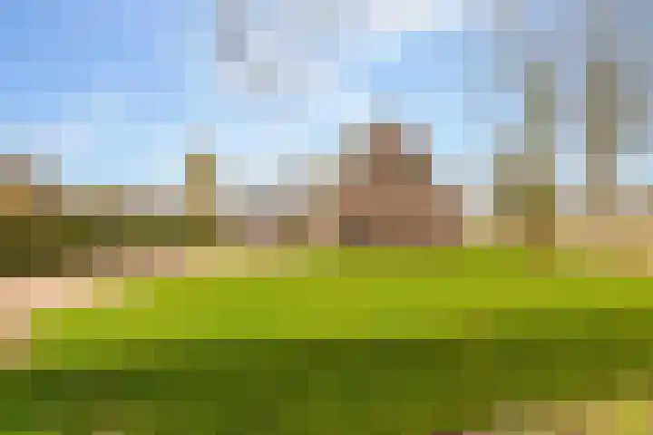 Oshaarseweg 23 a Echten thumbnail 5