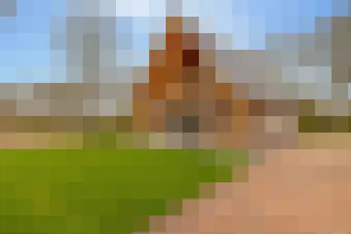 Oshaarseweg 23 a Echten thumbnail 50
