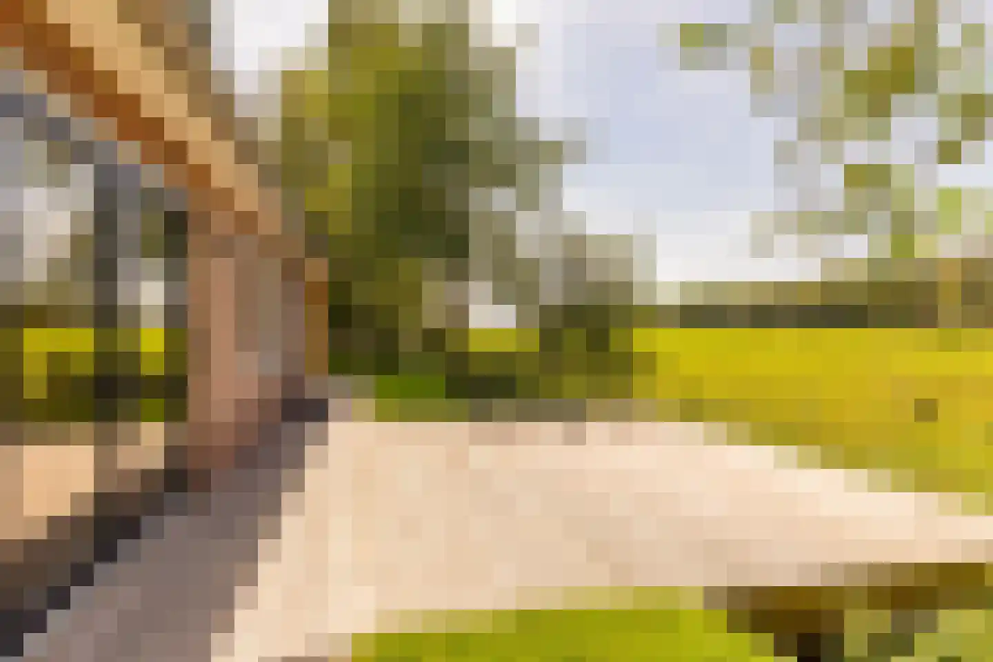 Oshaarseweg 23 a Echten thumbnail 52