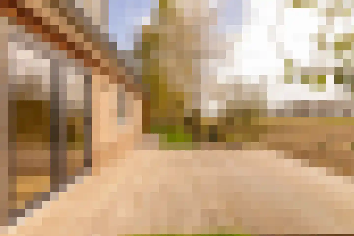 Oshaarseweg 23 a Echten thumbnail 52