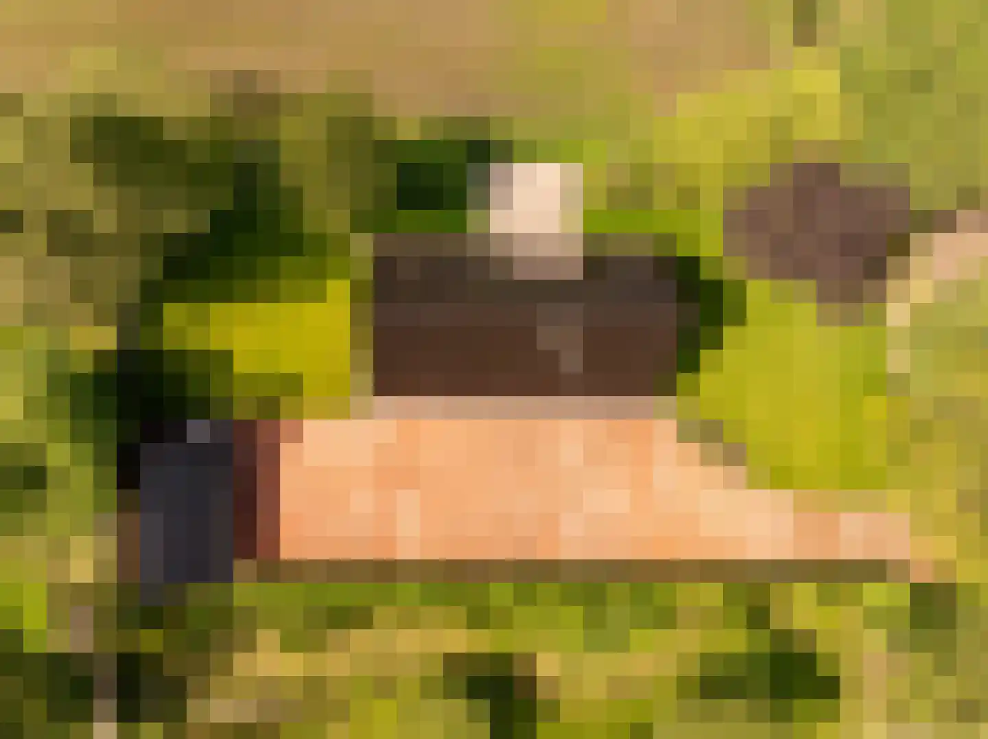 Oshaarseweg 23 a Echten thumbnail 56