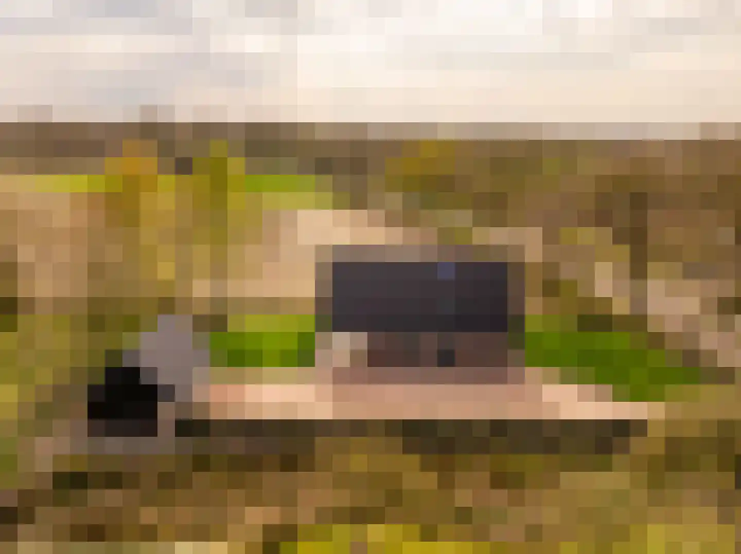 Oshaarseweg 23 a Echten thumbnail 56