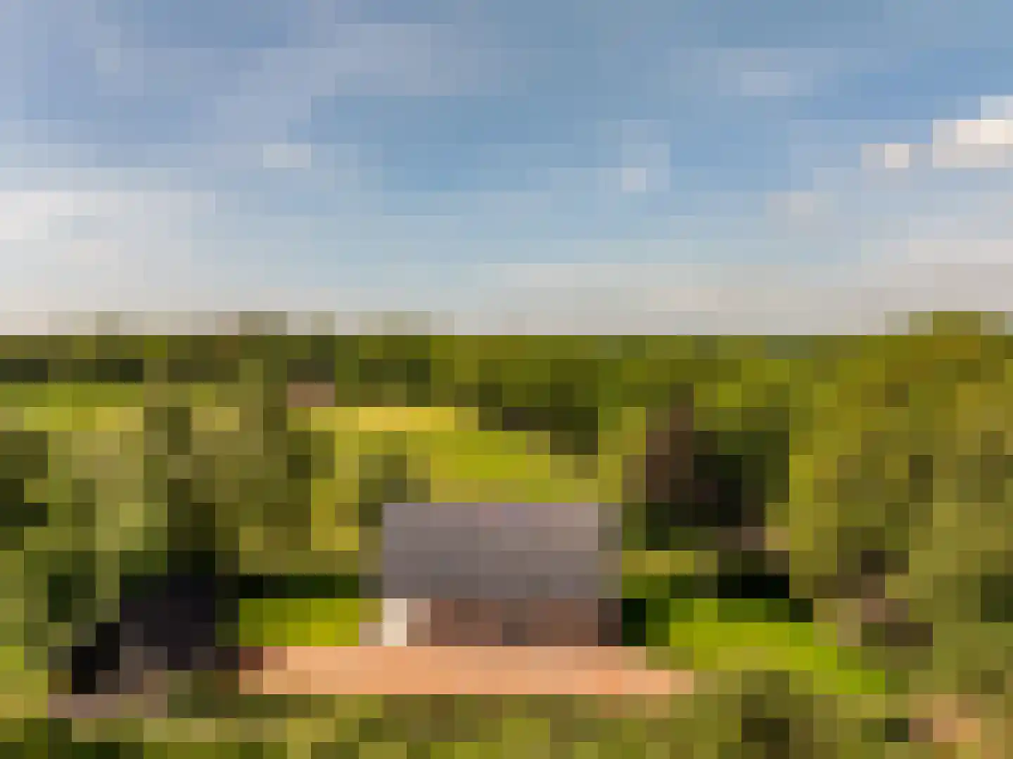 Oshaarseweg 23 a Echten thumbnail 57