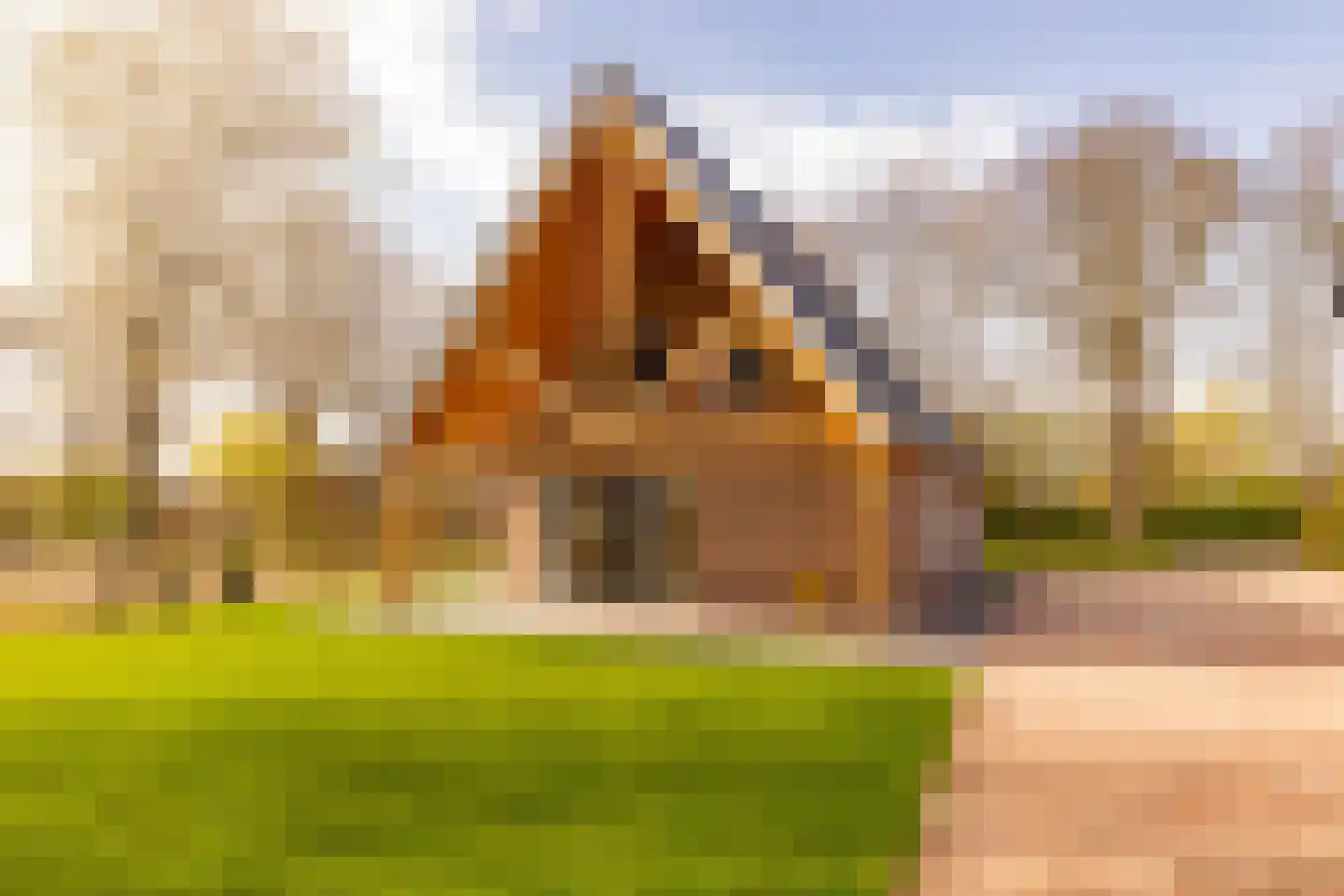 Oshaarseweg 23 a Echten thumbnail 58