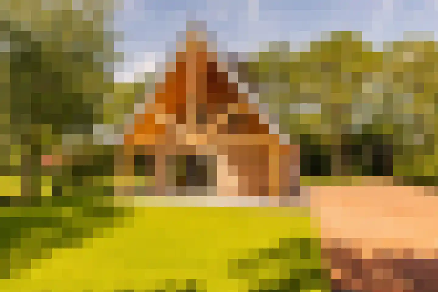 Oshaarseweg 23 a Echten thumbnail 59