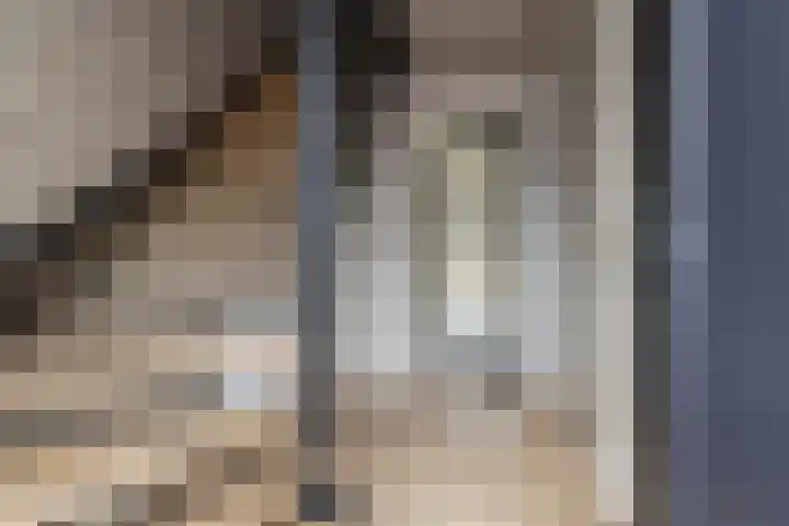 Oshaarseweg 23 a Echten thumbnail 6