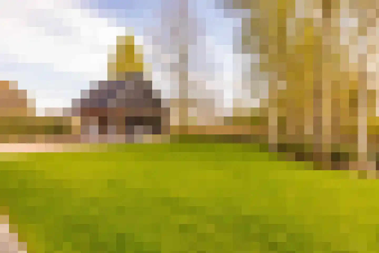 Oshaarseweg 23 a Echten thumbnail 60