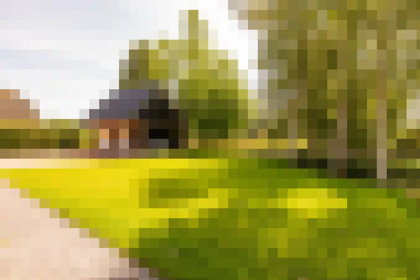 Oshaarseweg 23 a Echten thumbnail 61